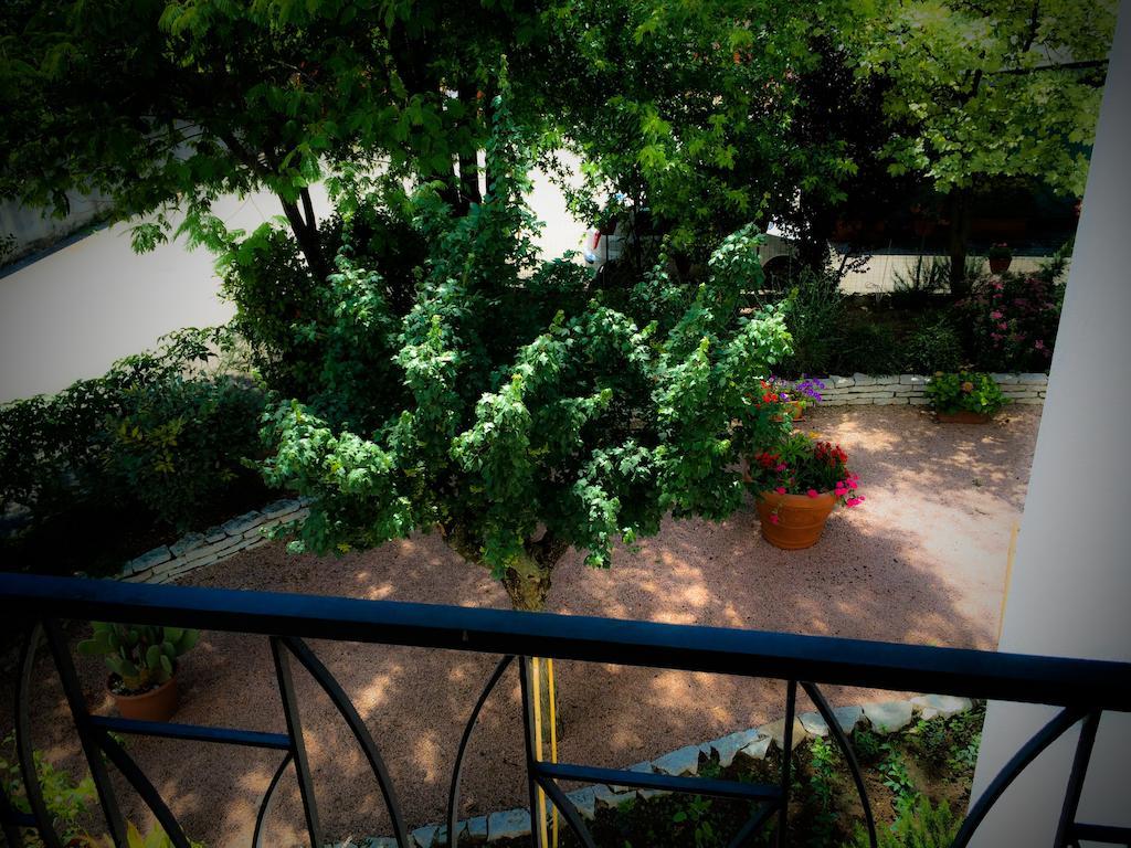 San Martino di Lupari Bed & Breakfast Don Carlos מראה חיצוני תמונה