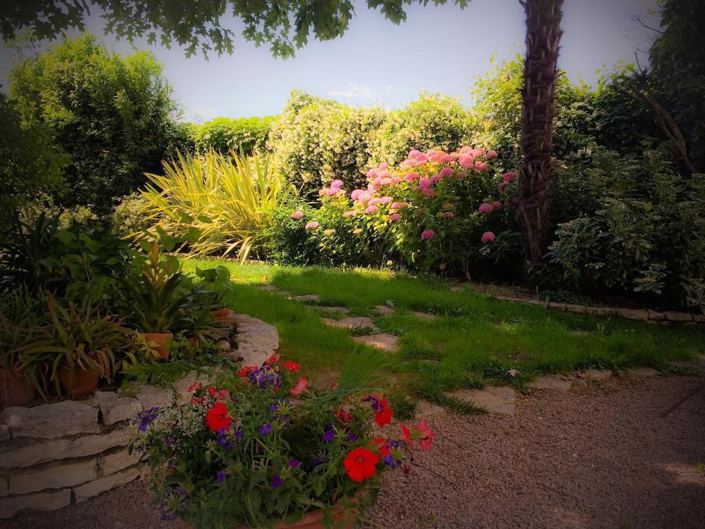 San Martino di Lupari Bed & Breakfast Don Carlos מראה חיצוני תמונה