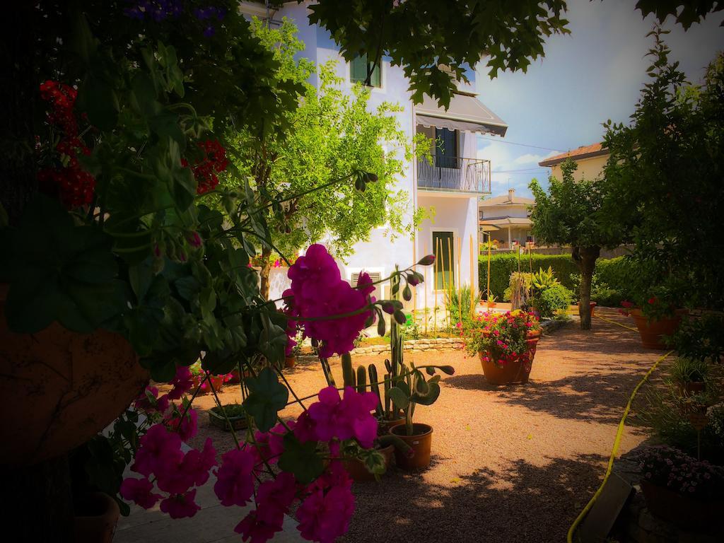 San Martino di Lupari Bed & Breakfast Don Carlos מראה חיצוני תמונה
