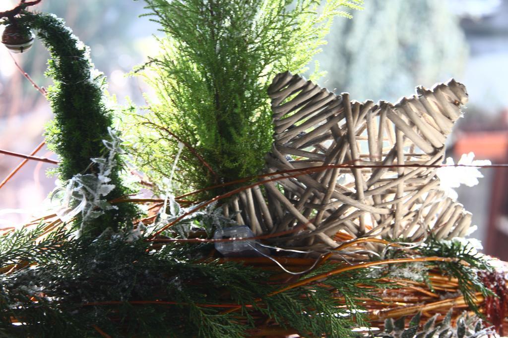 San Martino di Lupari Bed & Breakfast Don Carlos מראה חיצוני תמונה