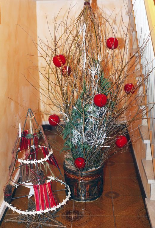 San Martino di Lupari Bed & Breakfast Don Carlos מראה חיצוני תמונה