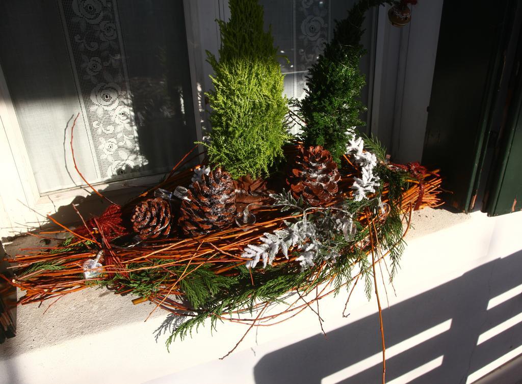 San Martino di Lupari Bed & Breakfast Don Carlos מראה חיצוני תמונה